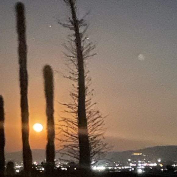 1950's "Mam'selle Original New York" Leather Purse - Picture 14 of 14